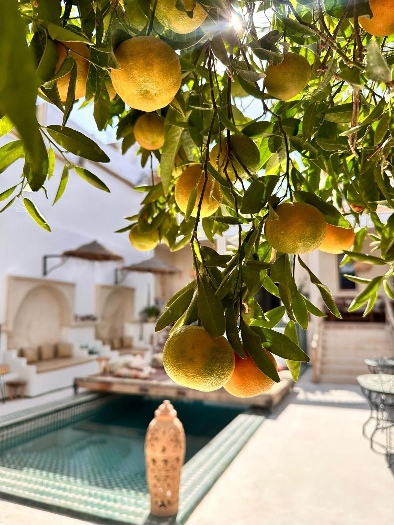 Dar Salam Souss Bed and Breakfast Taroudant Eksteriør billede